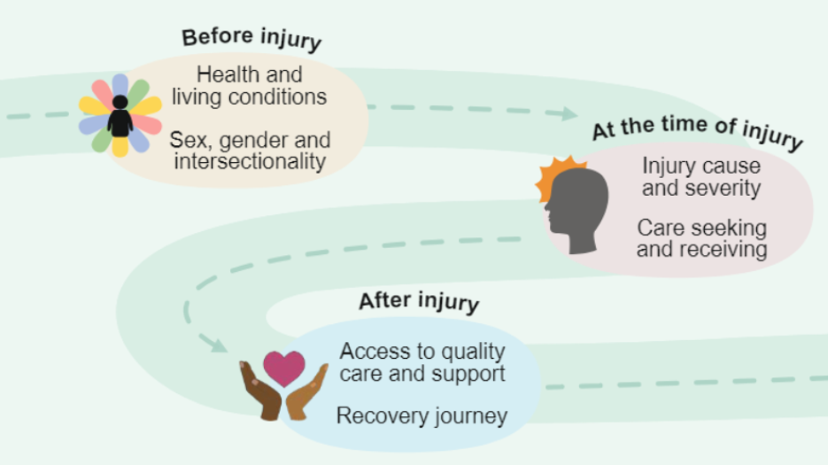 infographic of the pathway between different timepoints of brain injury